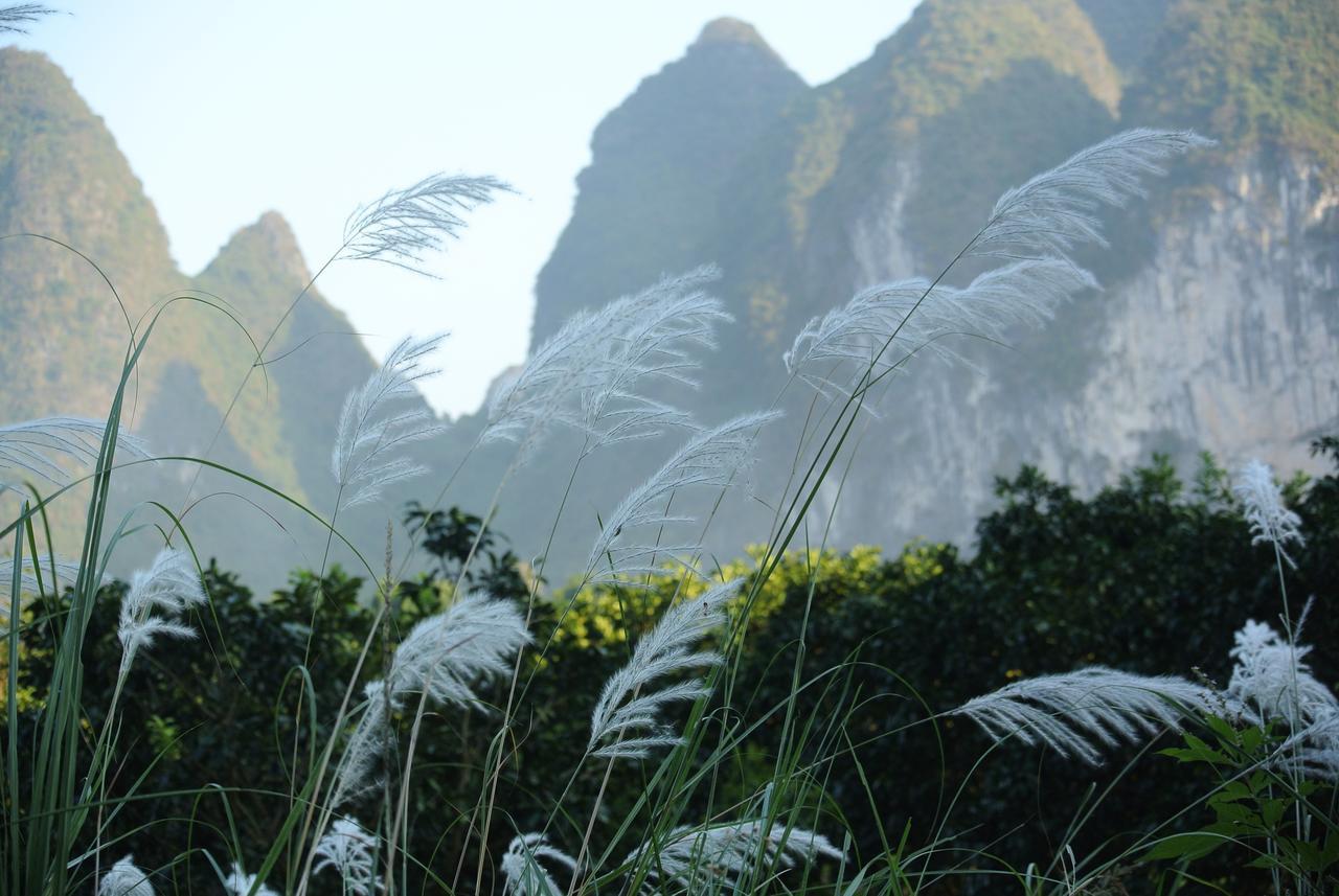Nirvana Organic Farm Inn Yangshuo Exteriör bild