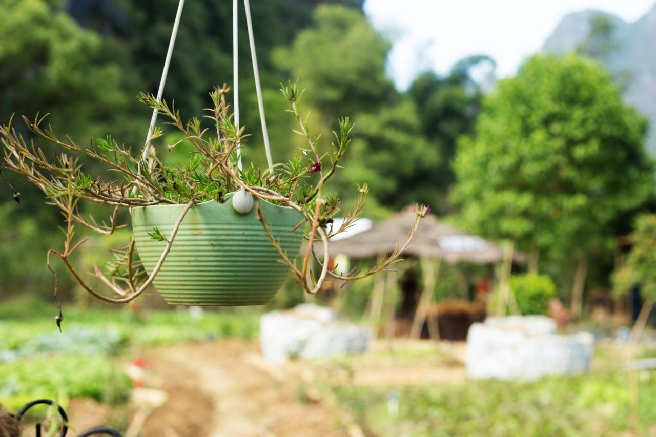 Nirvana Organic Farm Inn Yangshuo Exteriör bild