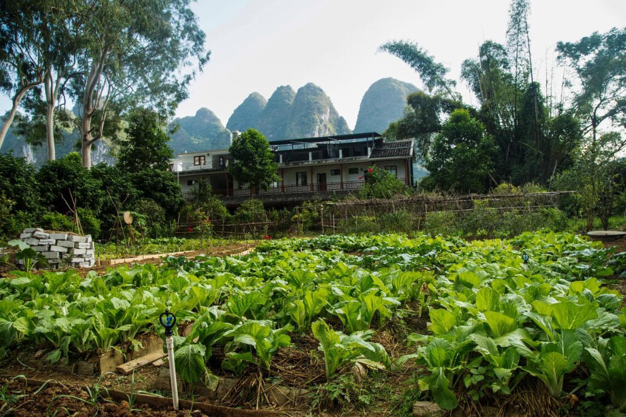Nirvana Organic Farm Inn Yangshuo Exteriör bild