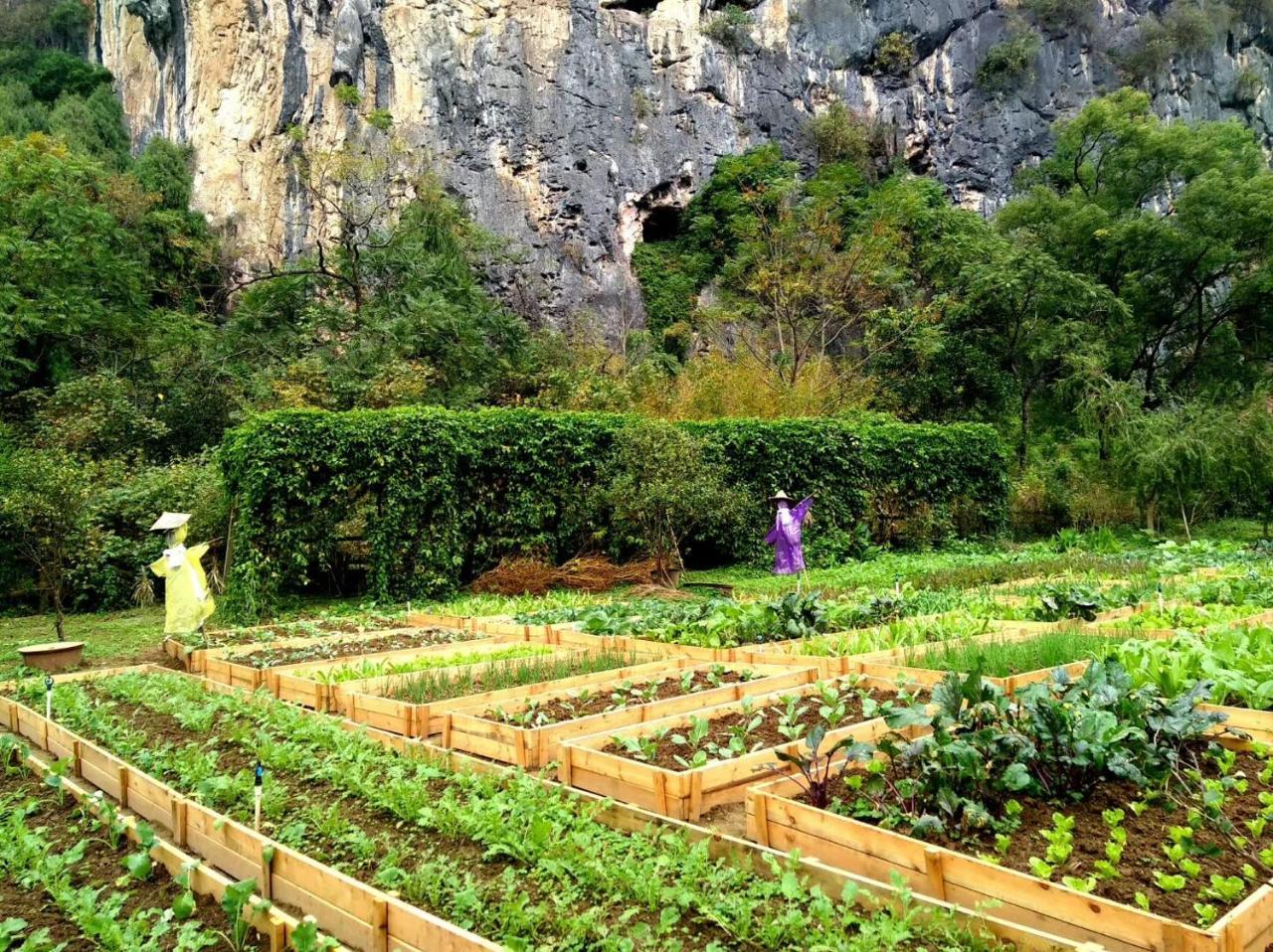 Nirvana Organic Farm Inn Yangshuo Exteriör bild